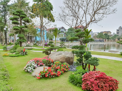 Thiết kế và thi công cảnh quan công viên Trần Hưng Đạo, Ninh Bình – Không gian xanh nâng tầm diện mạo đô thị